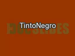 TintoNegro
