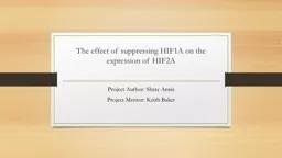 The effect of suppressing HIF1A on the expression of HIF2A