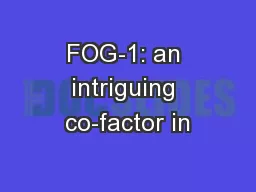 FOG-1: an intriguing co-factor in