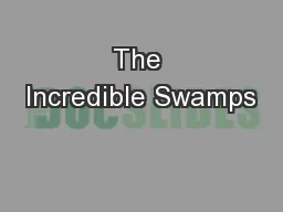 The Incredible Swamps