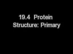 19.4  Protein Structure: Primary