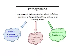 Pathogenaidd