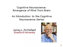 Cognitive Neuroscience: