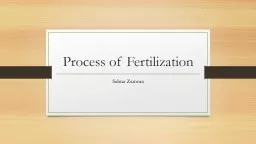 Process of Fertilization