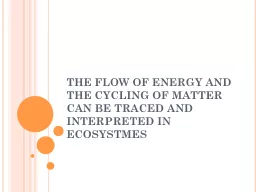 THE FLOW OF ENERGY AND THE CYCLING OF MATTER CAN BE TRACED
