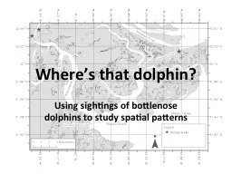 Using sightings of bottlenose dolphins to study spatial pat