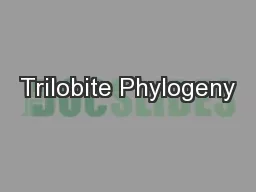 Trilobite Phylogeny