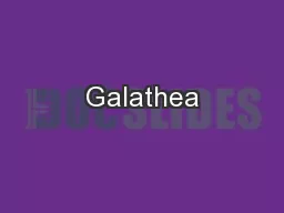 Galathea