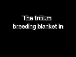 The tritium breeding blanket in