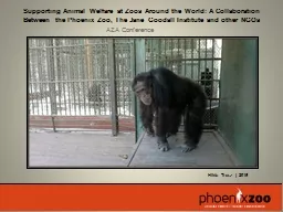 Supporting Animal Welfare at Zoos Around the World: A Colla