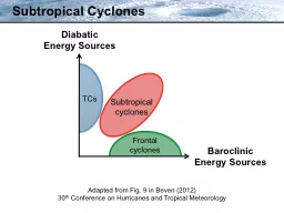 Subtropical Cyclones