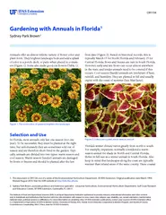 CIR Gardening with Annuals in Florida Sydney Park Brow