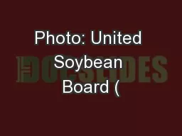 Photo: United Soybean Board (