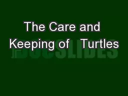 The Care and Keeping of   Turtles
