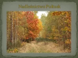 PPT-Nadleśnictwo Pułtusk