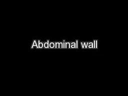 Abdominal wall