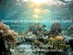 Phenology of Coral Pigments via Bio-Optics