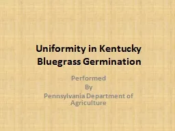 Uniformity in Kentucky Bluegrass Germination
