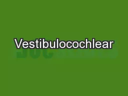Vestibulocochlear