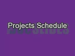Projects Schedule