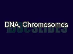 DNA, Chromosomes