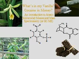 What’s in my Vanilla