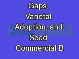 Barley Yield Gaps, Varietal Adoption, and Seed Commercial B