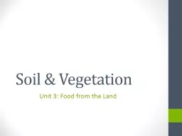 Soil & Vegetation