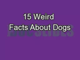 15 Weird Facts About Dogs