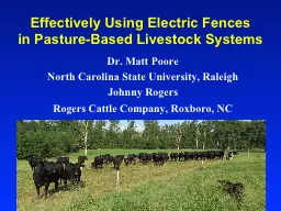 Effectively Using Electric Fences