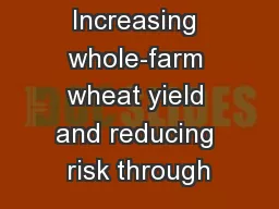 Increasing whole-farm wheat yield and reducing risk through