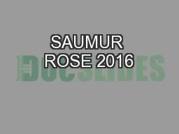 SAUMUR ROSE 2016