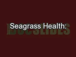Seagrass Health: