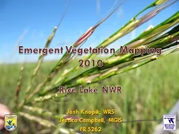 Emergent Vegetation Mapping