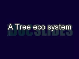 A Tree eco system