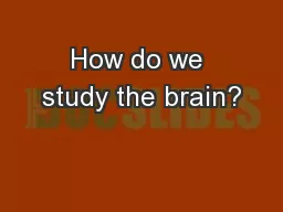 How do we study the brain?