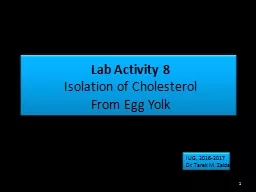Lab Activity 8