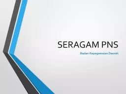 SERAGAM PNS