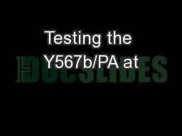 Testing the Y567b/PA at
