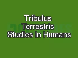 Tribulus Terrestris Studies In Humans