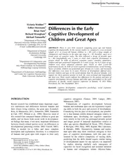 Differences in the Early Cognitive Development of Chil