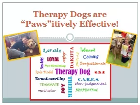 Therapy Dogs are