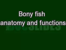 Bony fish anatomy and functions