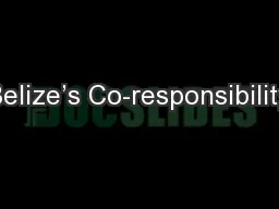 Belize’s Co-responsibility
