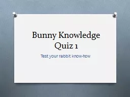 Bunny Knowledge Quiz 1