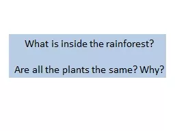 What is inside the rainforest?