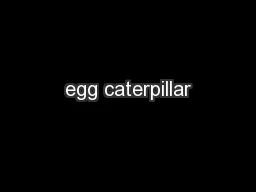 egg caterpillar