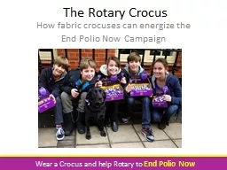 The Rotary Crocus