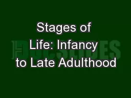 Stages of Life: Infancy to Late Adulthood