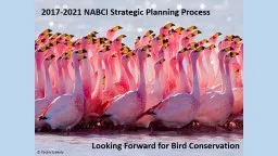 2017-2021 NABCI Strategic Planning Process